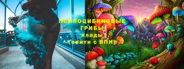 герыч Пересвет