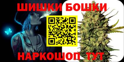 индика Гусиноозёрск
