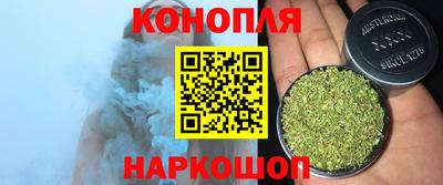 индика Гусиноозёрск