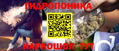 индика Гусиноозёрск