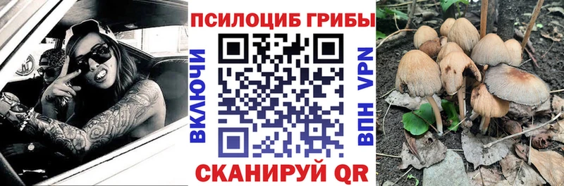 купить наркотики сайты Отрадное Галлюциногенные грибы прущие грибы