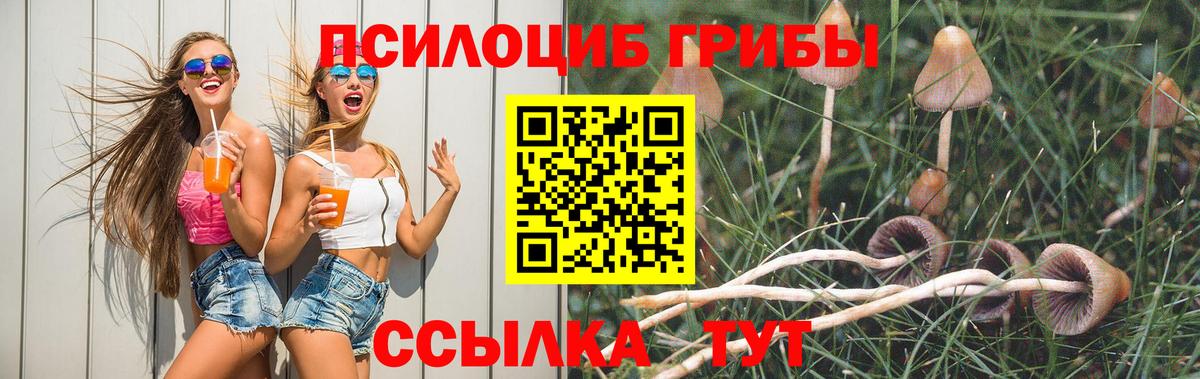 Галлюциногенные грибы прущие грибы Отрадное
