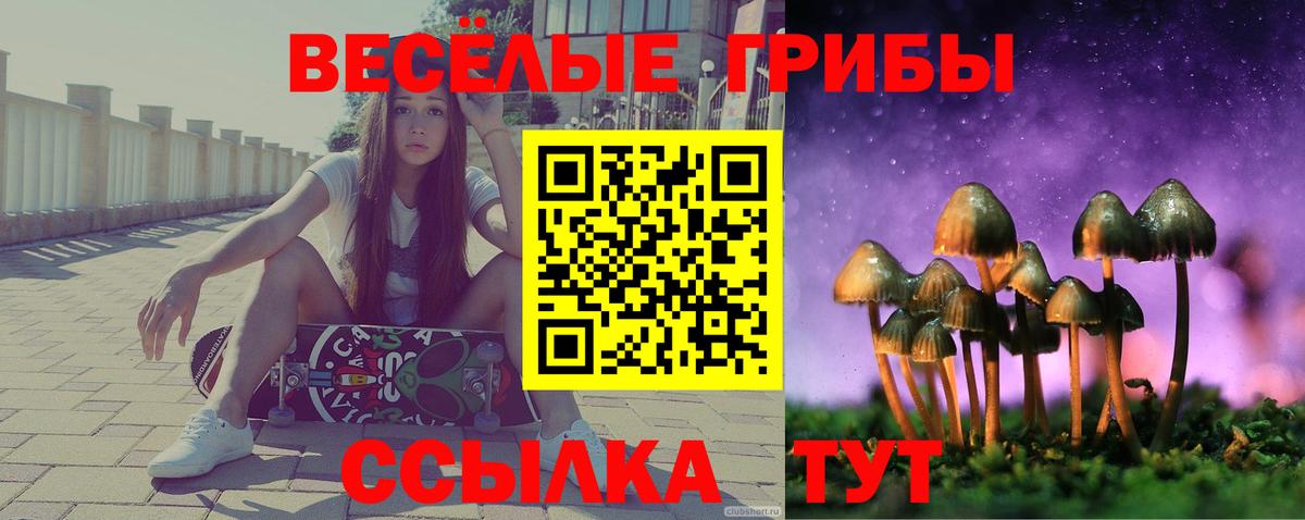 Отрадное  Галлюциногенные грибы GOLDEN TEACHER  Вход с VPN 